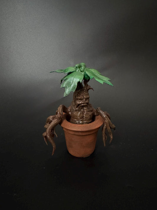 Mandrake - Mandragora Magic Plant from Universe of Wizards!