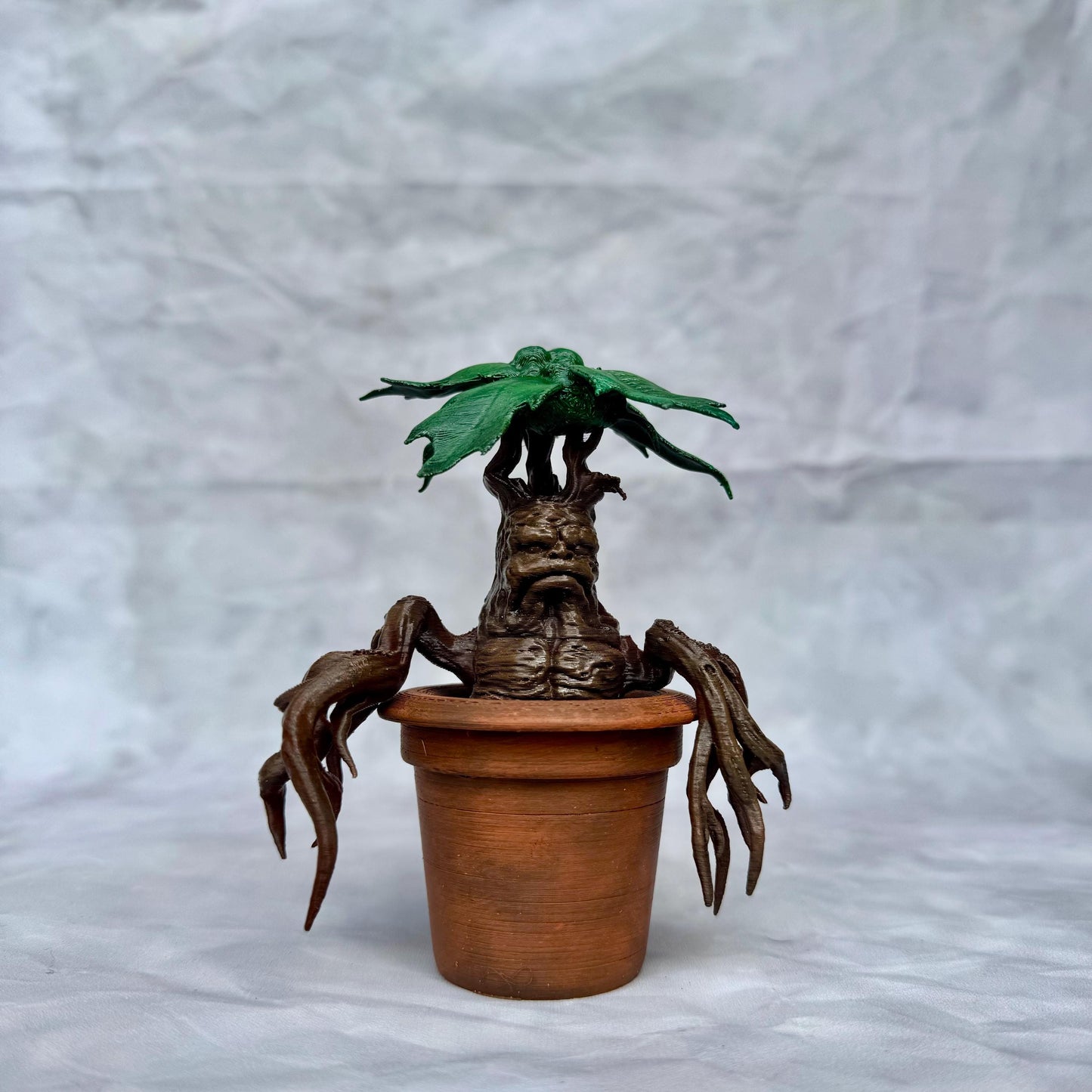 Mandrake - Mandragora Magic Plant from Universe of Wizards!