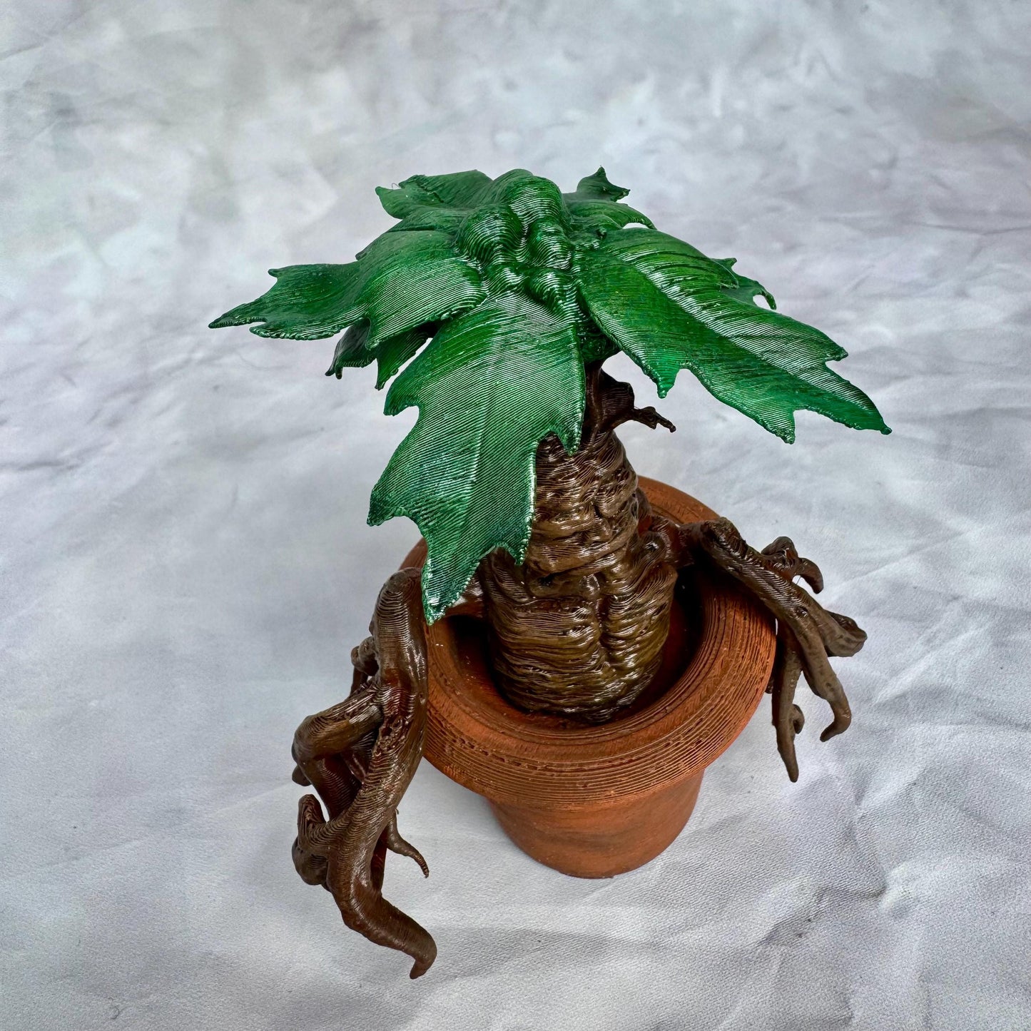 Mandrake - Mandragora Magic Plant from Universe of Wizards!