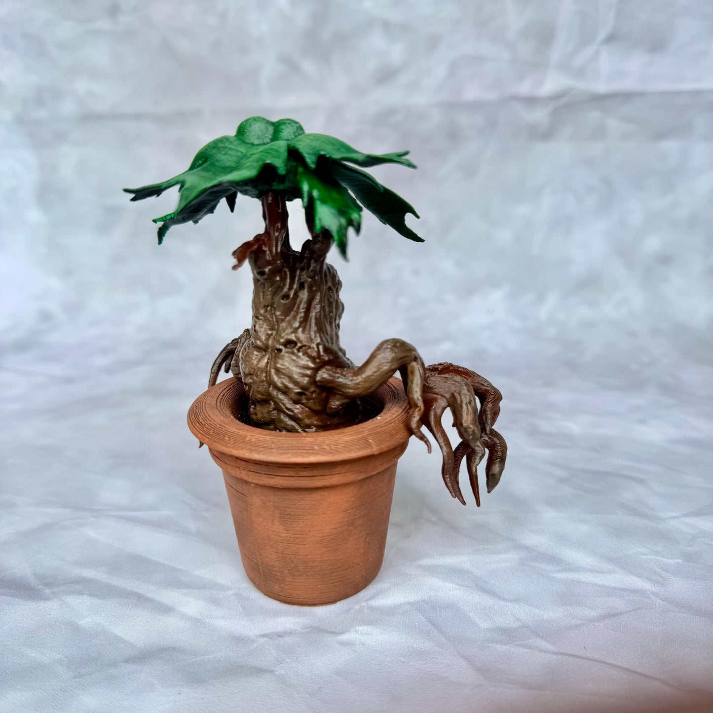 Mandrake - Mandragora Magic Plant from Universe of Wizards!