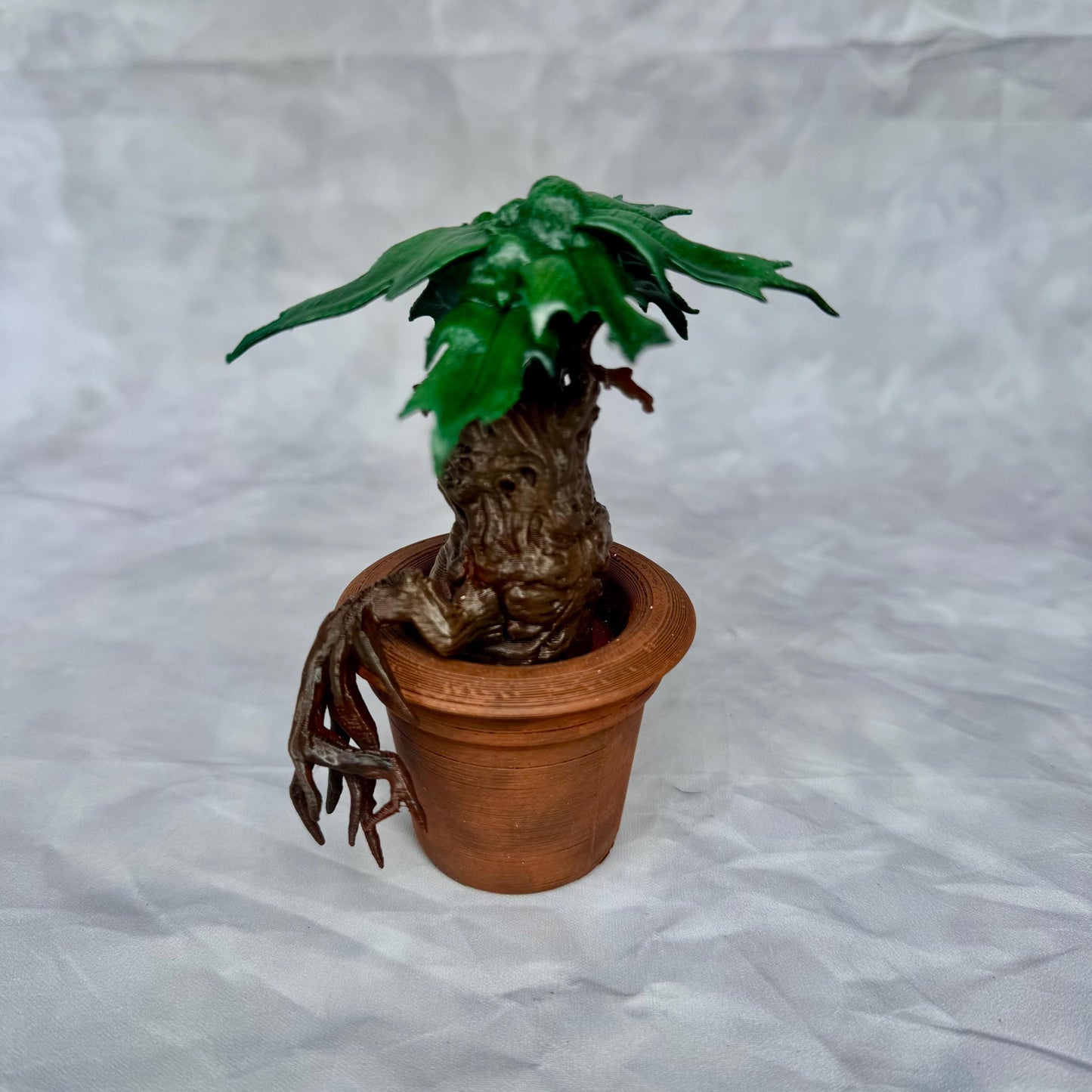 Mandrake - Mandragora Magic Plant from Universe of Wizards!